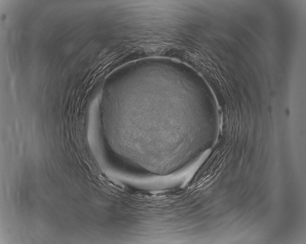 X0000068901249200605051414