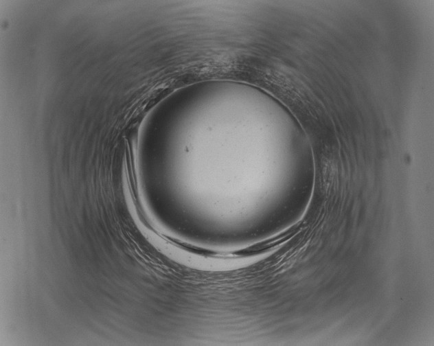 X0000068901250200605051414