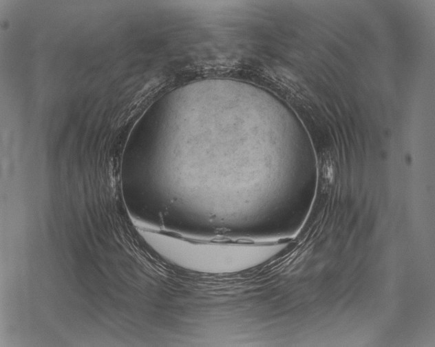 X0000068901252200605051414