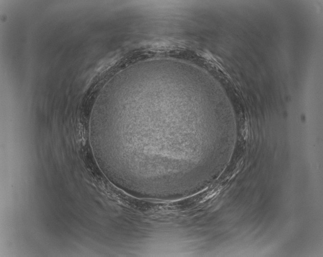 X0000068901253200605051414