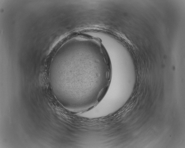 X0000068901256200605051414