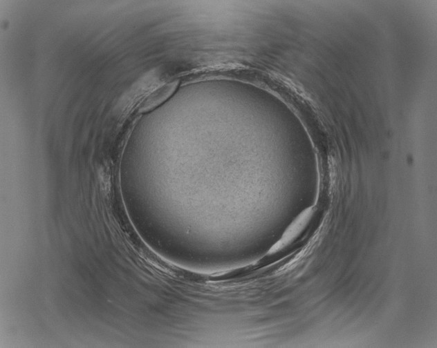 X0000068901257200605051414