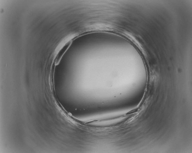 X0000068901293200605051413