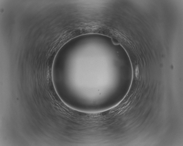 X0000068901299200605051412