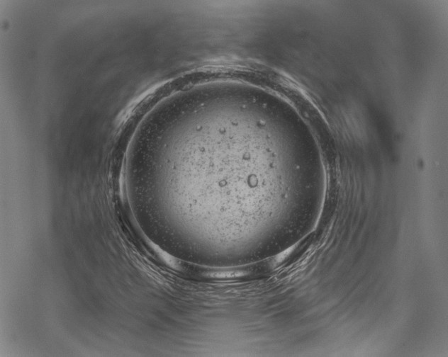 X0000068901304200605051412