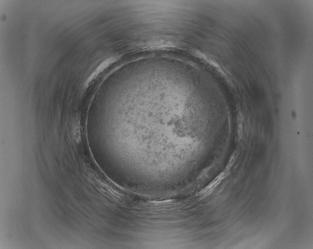 X0000068901306200605051412