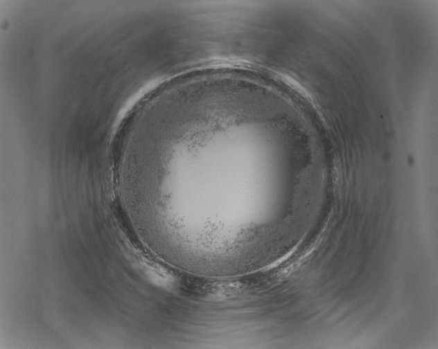 X0000068901310200605051412