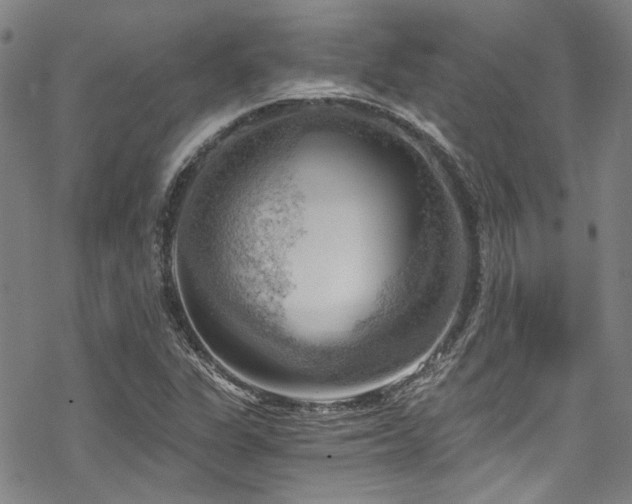 X0000068901311200605051412