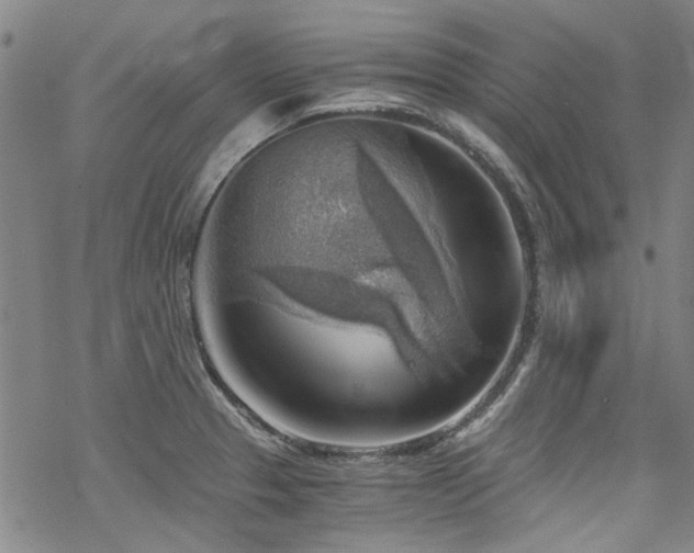 X0000068901329200605051413