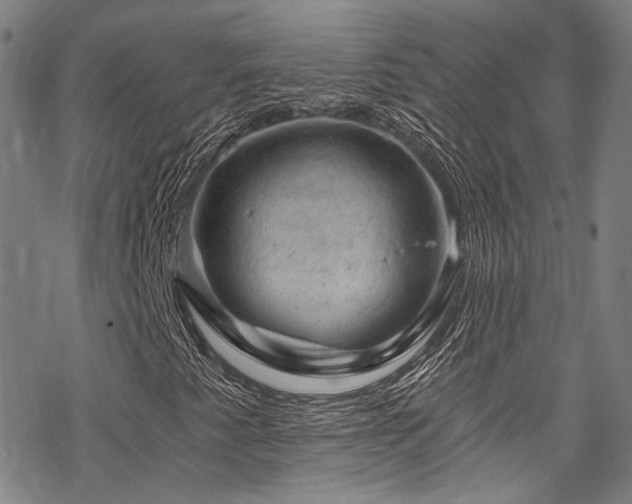 X0000068901345200605051412