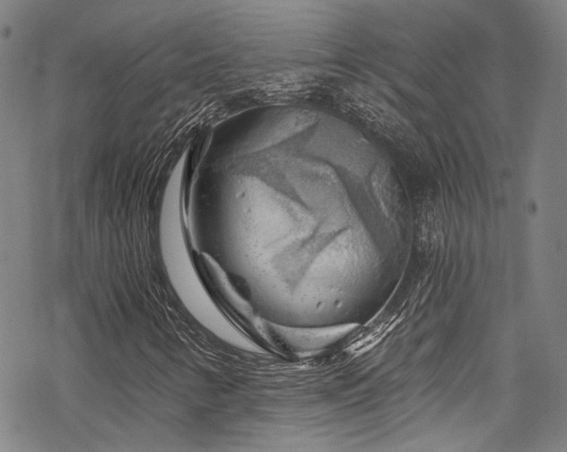 X0000068901346200605051412
