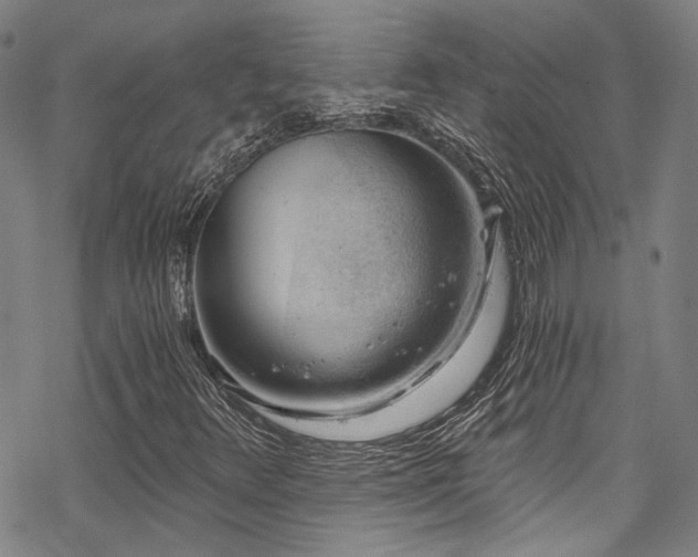 X0000068901348200605051412