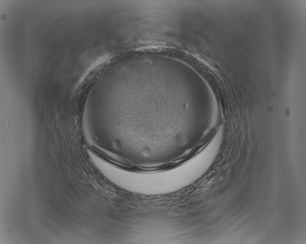 X0000068901351200605051412