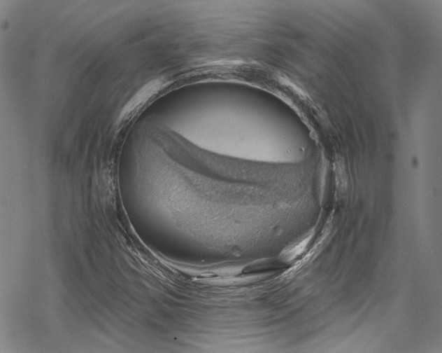 X0000068901354200605051412