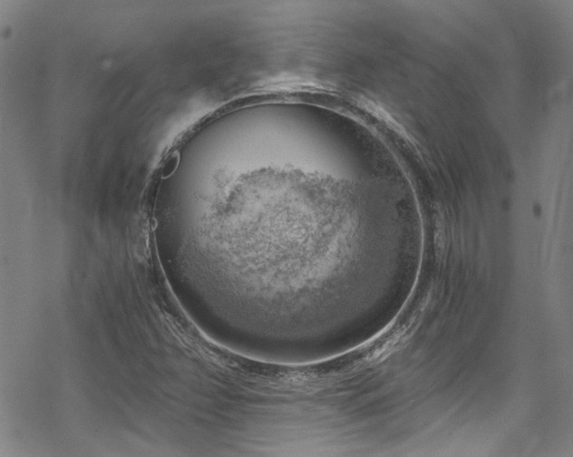 X0000068901358200605051412