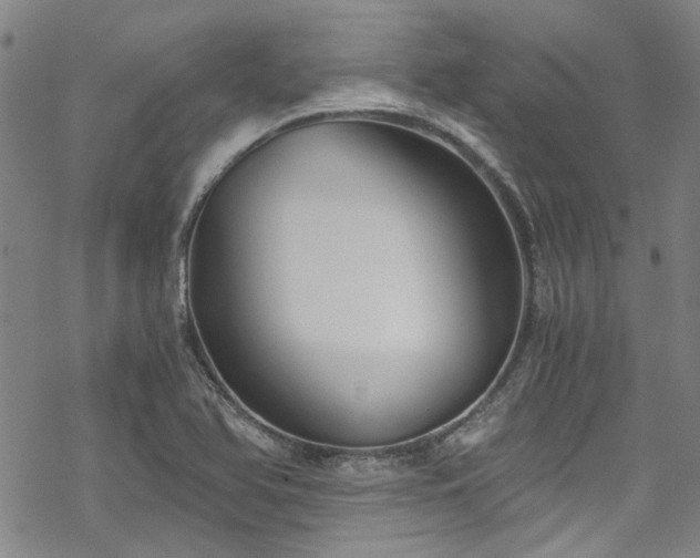 X0000068901366200605051412