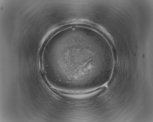 X0000068901368200605051412