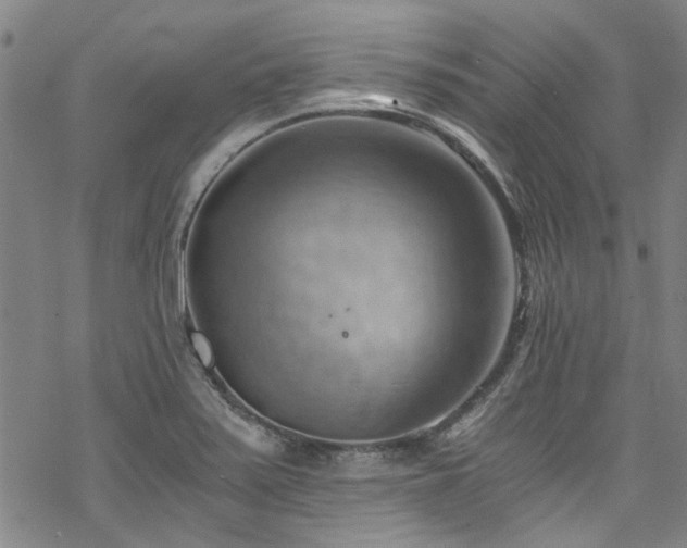 X0000068901371200605051412