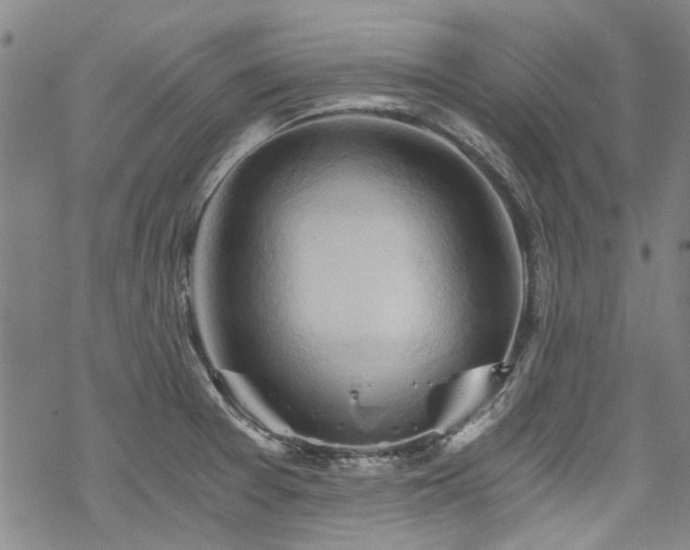 X0000068901377200605051412