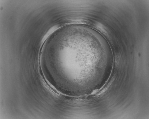 X0000068901378200605051412