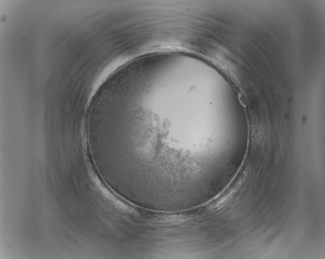 X0000068901382200605051412