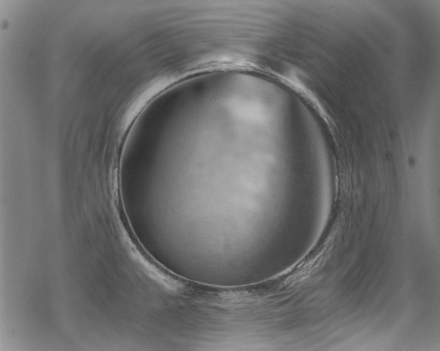 X0000068901383200605051412