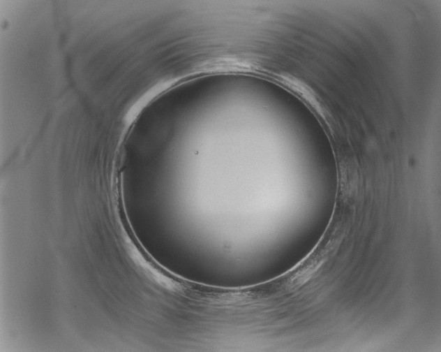 X0000068901387200605051412