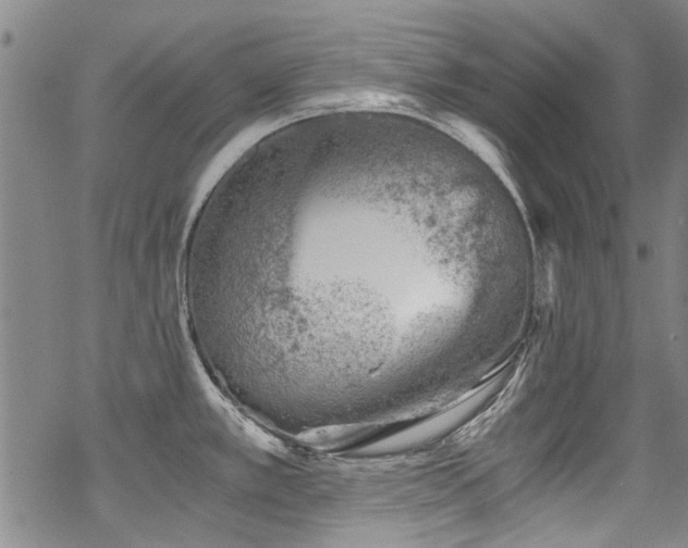 X0000068901389200605051412