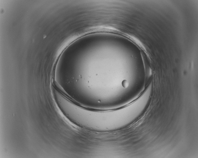 X0000068901391200605051412