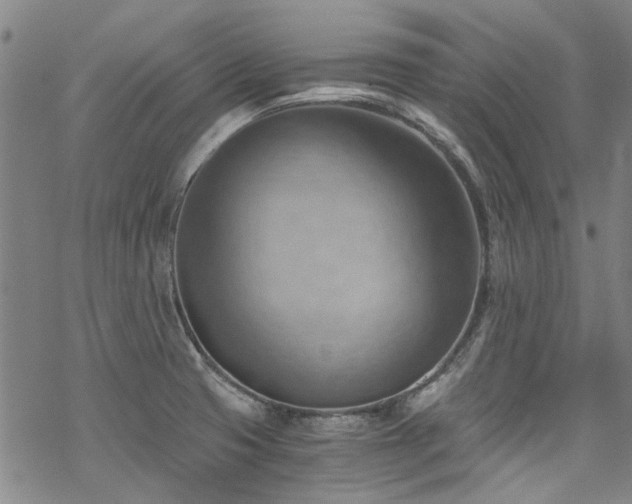 X0000068901425200605051411