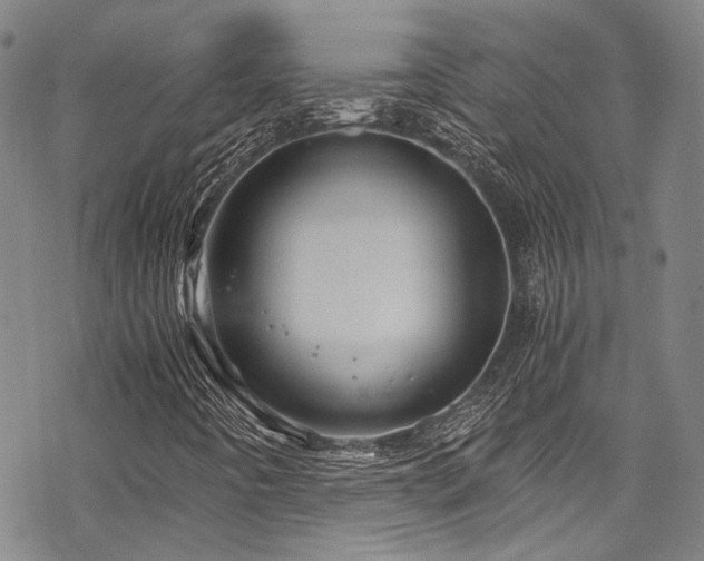 X0000068901442200605051411