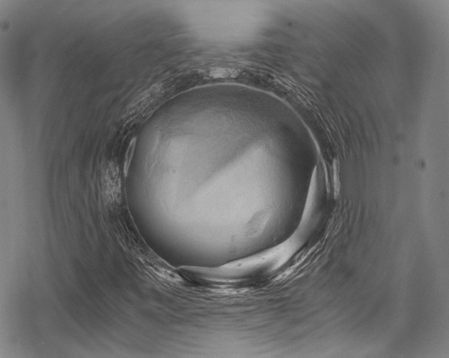 X0000068901443200605051411