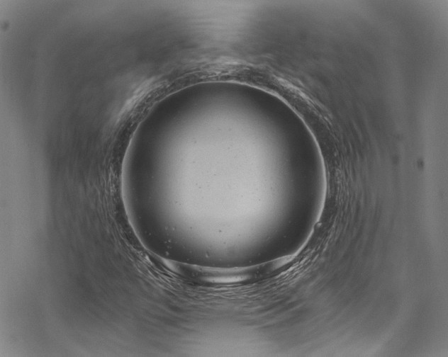 X0000068901447200605051411