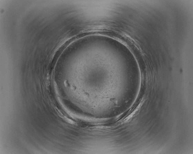 X0000068901449200605051411