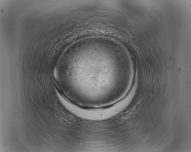 X0000068901490200605051409