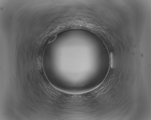 X0000068901491200605051409