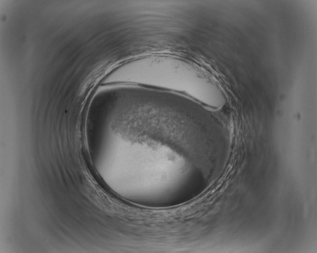 X0000068900002200605081357