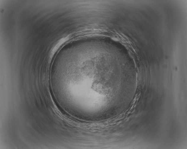 X0000068900003200605081357