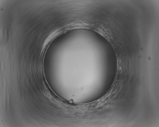 X0000068900004200605081357