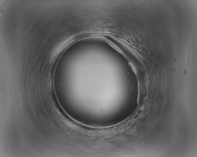 X0000068900005200605081357