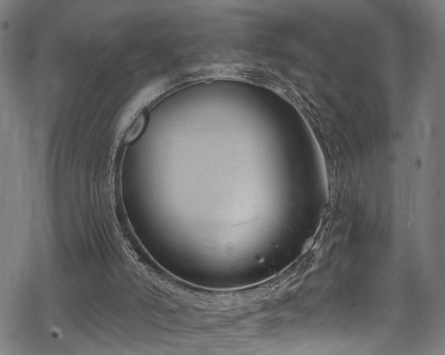 X0000068900006200605081357