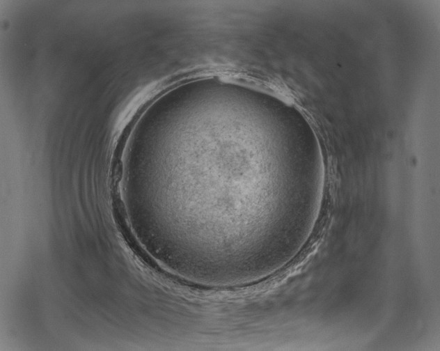 X0000068900007200605081357