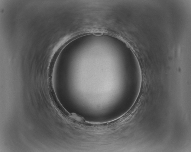 X0000068900008200605081357