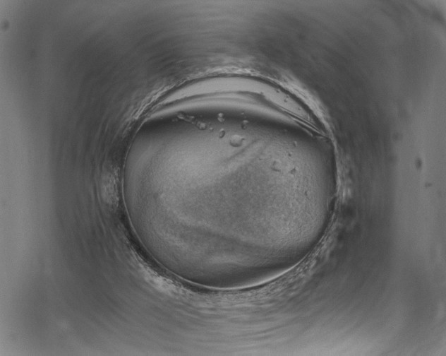 X0000068900009200605081357