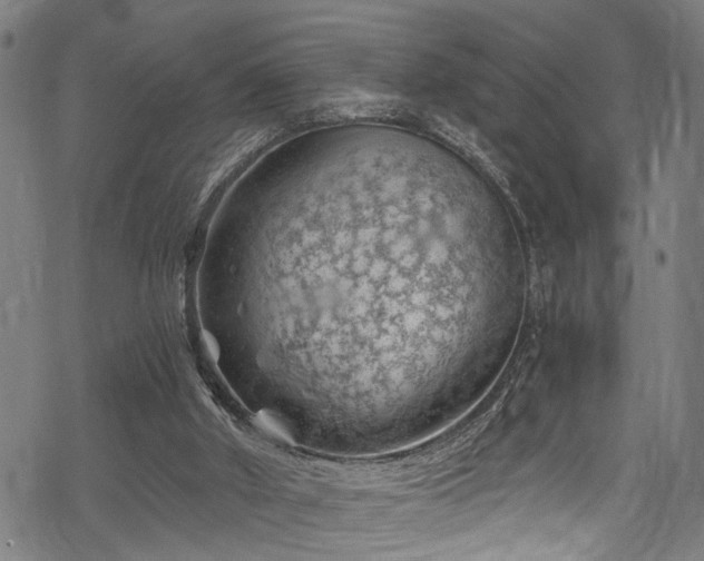 X0000068900010200605081357