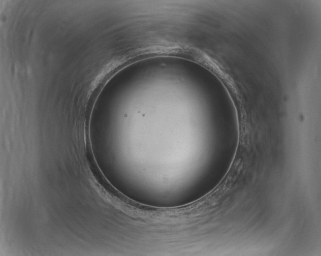 X0000068900011200605081357