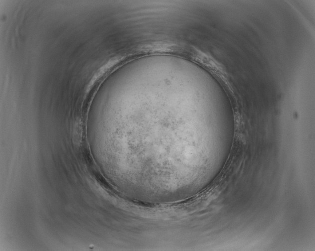 X0000068900012200605081357