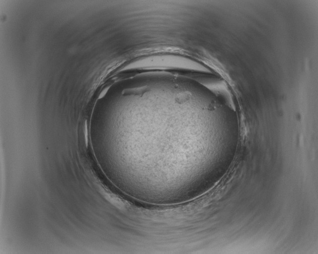 X0000068900013200605081357