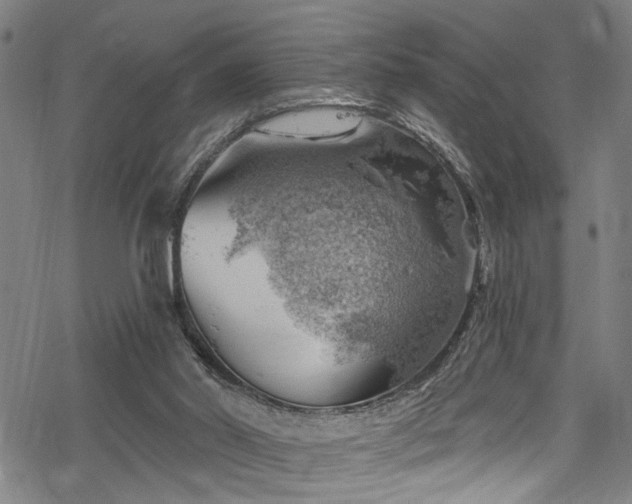 X0000068900014200605081357