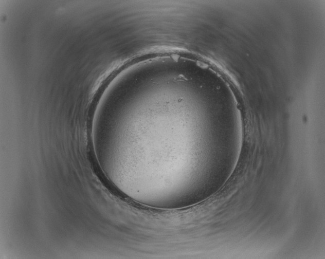 X0000068900015200605081357